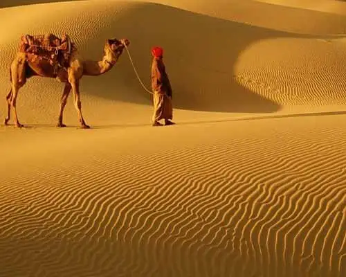 One Day Jaisalmer Sightseeing Tour